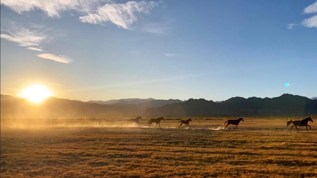 Estancia Banda Grande - Horse & Hiking Safaris Molinos Exterior foto
